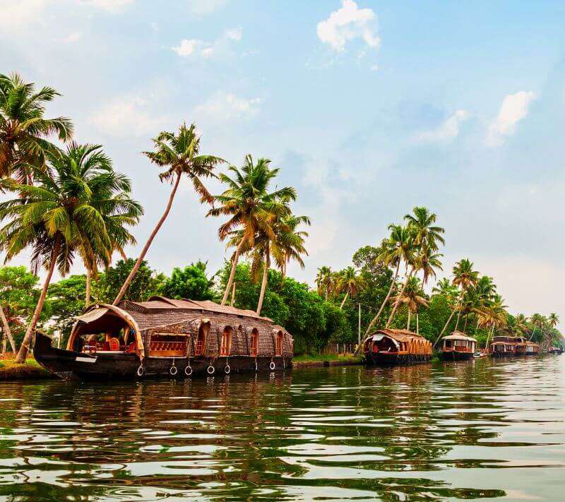 alleppey travel package