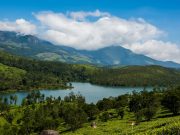 Mattupetty Lake - Munnar Tour Package