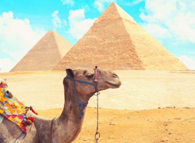 Pyramids of Giza Camel Ride Cario