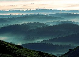 Coorg Cloudy Mountains