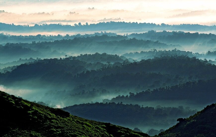 Coorg for Nature Lovers – Scenic Walks & Magical Sunsets – 03 Nights & 04 Days