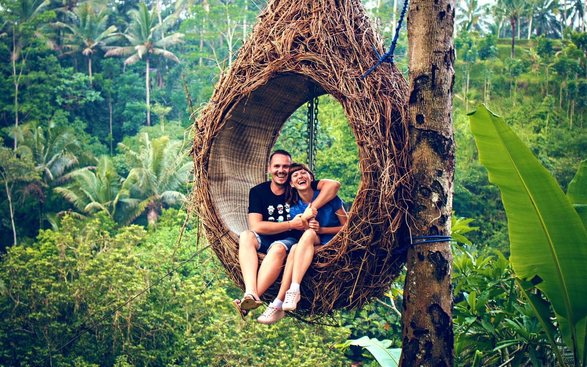 Jungle Nest Swing