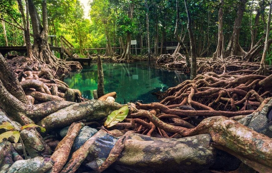 Thailand – Pattaya Package – 07 Nights & 08 Days