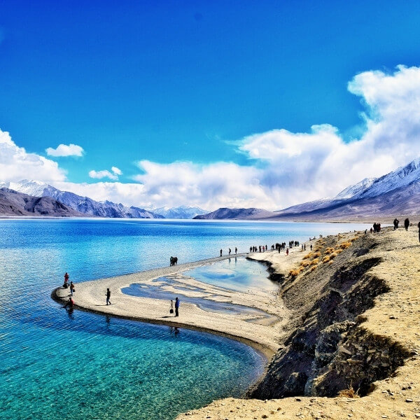 Ladakh Pangong Trip Packages