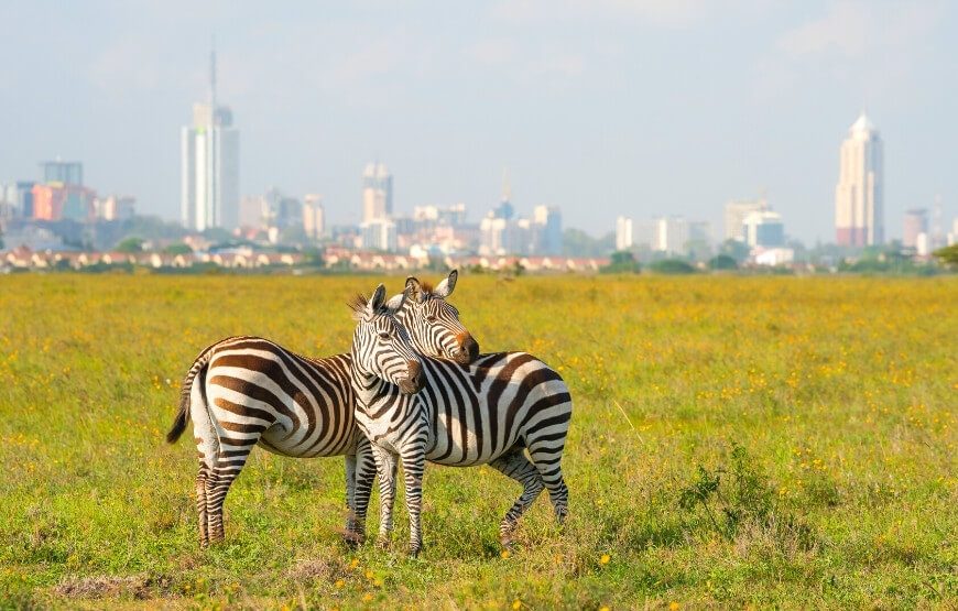 Kenya – Nairobi Package – 04 Nights & 05 Days