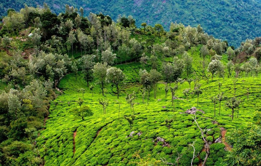 Serene South with Coorg and Ooty – Value Added – 05 Nights & 06 Days