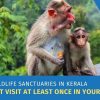 Wildlife Sanctuaries Kerala
