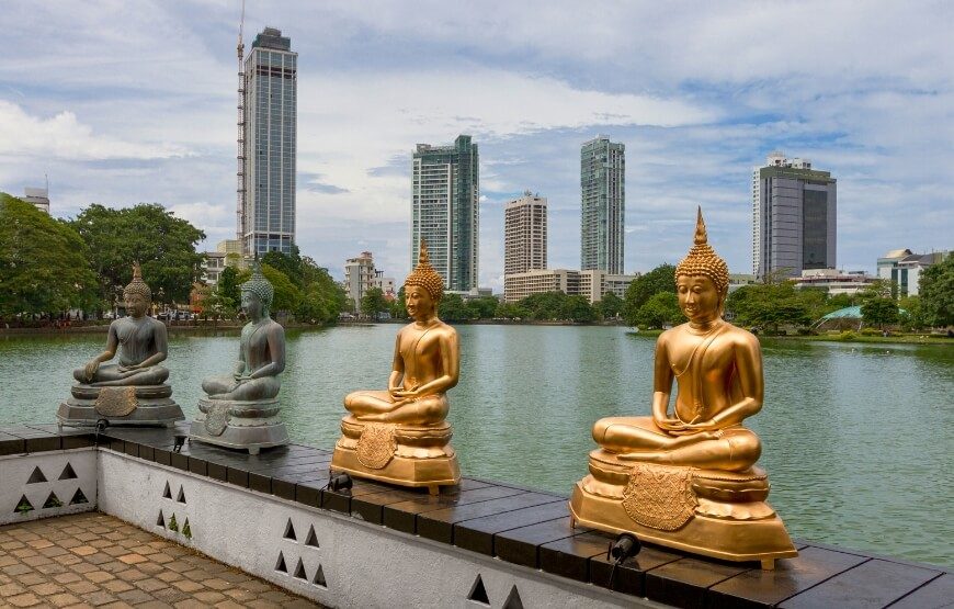 Scenic Sri Lanka – 07 Nights and 08 Days
